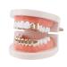 EXCEART Fang Cap 2pcs Single Grill Cap Tooth Grills Prank Toy Halloween Party Accessory (Rose Gold) - Buy Online on GoSupps.com