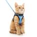 Rabbitgoo cat dishes cat linen set cat dishes with leash dishes cats outbreaked.