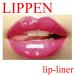 Cosart Lip-Liner 0008 Red Brown | Long-Lasting Smooth Application | International Shipping Available - Buy Online on GoSupps.com
