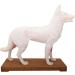 66Fit Dog Acupuncture Model - Essential Pressure Points for Veterinarians | International Shipping Available - Buy Online on GoSupps.com