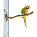 Premium Nature Birds Set: 4 Essential Accessories for Bird Cages - Pencil Bars & Percussion Rods for Budgies & Canaries - Buy Online on GoSupps.com