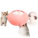 Puppy Feeder for Multiple Puppies,Puppy Milk Feeder,Puppy Bottles for Nursing Puppies,Nursing Station,3/4 Nipples Self Feeding Milk Bowl for Kittens, Rabbits 200ML Pink