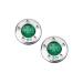 GOOACTION Golf Custom Putter Weights Green Lucky Four-Leaf Shamrock Clover 2PCS (5g 10g 15g 20g 25g 30g 35g 40g) Compatible with Select Newport Studio California GoLo Futura X Series Putter Clubs 30.0 Grams