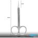 Nail Scissors Professional Cuticle Scissors Extra Strong Straight Curved Manicure Nail Art Scissors (CS-04) - Buy Online on GoSupps.com