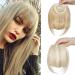 SEGO Clip-in Pony Hairpiece Extensions - Realistic Ash & Bleach Blonde Fringe Bangs - Buy Online on GoSupps.com