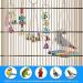 Vogel Parrot Pet Toys - 6 Station Swing Toys for Parrots | Best International Shipping - Buy Online on GoSupps.com