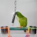 Xzhixiao 1 Piece Bird Parrot Bell Toy with Sweet Sound Stainless Steel Bell Toy Squirrel Bells Bell Hanging Toy Used for Bird Parrot Macaw African Greys Cockatoo Parakeet Cockatiels(S/ 7.7'') - Buy Online on GoSupps.com