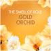 Bold Washing Liquid Laundry Detergent Gel 28 Washes 980ml Gold Orchid For Brilliant Cleaning With Built-In Lenor Freshness with 10L Caddy bin 30 bags - Buy Online on GoSupps.com