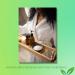 Dr Adorable - 4 oz - Neem Seed Butter - Unrefined Pure Natural Premium Organic Cold Pressed Raw - Buy Online on GoSupps.com