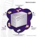 Effective Wound Healing Solutions - Fast International Shipping - Buy Online on GoSupps.com