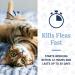 PetArmor Advanced 2 Flea Prevention for Small Cats - 6 Month Supply - Buy Online on GoSupps.com