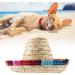 Shop Heepdd Dog Hat - Stylish Mini Straw Mexican Sombrero for Dogs & Cats | Perfect Sun Protection for Pets - Buy Online on GoSupps.com