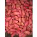 AGROBITS 069 # Pumpkin Noodles 10...: VARIOUS n Vegetable Fruit Heirloom NON-GMO Superior 061-118 - Buy Online on GoSupps.com