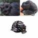 2 Pack Plastic Hair Clips for Women | Versatile Black Hair Accessories | Perfect Fit for All Hair Types - Buy Online on GoSupps.com