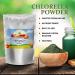 Best Botanicals Chlorella Powder 16 oz. (Organic) 16 Ounce (Pack of 1) - Buy Online on GoSupps.com