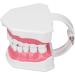 Vomeko Tooth Brushing Practice Model for Kids - Ideal Training Set with Brush - International Shipping Available - Buy Online on GoSupps.com