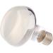 Buy TRIXIE 76003 Heat Spot Lamp 100W - Pack of 2 - Black - Perfect for Pets - Fast International Shipping - Buy Online on GoSupps.com