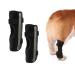 Dog Knee Brace 2-Pack Dog Leg Brace with Bimetallic Spring Bars Canine Rear Hock Support Protects Wounds Heals and Prevents Injuries and Sprains Helps with Loss of Stability Caused by Arthritis (M)