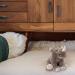 Shop Deluxe Paws 100% Recycled Plush Eco Toy Rhino | Sustainable Pet Products | International Shipping - Buy Online on GoSupps.com