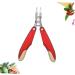 FOMIYES Fingernails Nippers Cuticle Remover Clipper Nail Cuticle Trimmer Toe Nail Clipper Steel Cuticle Trimmer Cuticle Nail Nipper Cuticle Clipper Fold Nail Pliers - Buy Online on GoSupps.com