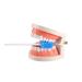 Disposable Oral Care Swabs - Ridge Design Blue (50pcs) | Tooth Cleaning Mouth Swabs - Buy Online on GoSupps.com