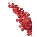 Crunchies Freeze-Dried Strawberries - 100% Natural Crispy Fruit, Non-GMO, Kosher - 0.8 oz (Pack of 6) - Buy Online on GoSupps.com