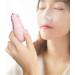 Baluue 2 Pcs Hydrating Instrument Hot Face Steaming Device Handheld Facial Sprayer Cool Mist Pink Abs - Buy Online on GoSupps.com