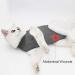 Dotoner Katzenbody: After Op Anti-Troll Body for Cat Recovery | Skin Disease & Castration Support | E-Collar Alternative for Cats & Dogs (L Gray) - Buy Online on GoSupps.com