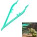 TOYANDONA 40 Pcs Feeding Clamp Reptile Feeding Clip Tree Frog - Buy Online on GoSupps.com