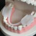 Silicone Night Anti-Wear Teeth Brace for Sleep Protection - Buy Online on GoSupps.com