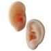 Ear Models 1 Pair Ear Picking Model Silicone Tunnels for Ears Ear Display Sample Scientific Ear Model Practice Ear Mold Silicone Ear Mold Practice Tool Visible Ear Canal
