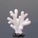 Movoja 2 PIECES - Aquarium Decoration Corals - for fresh and salt water - Decoration Coral Aquaristics - 3 White Coral 3 White