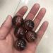 7pc Natural Red Tiger Eye Crystal Sphere Natural Gem Full of Texture - Buy Online on GoSupps.com