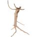 emours Natural Driftwood Vine Branches Reptiles Aquarium Decoration Assorted Sizes Small 4 Pieces - Buy Online on GoSupps.com