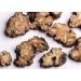 Lovage Tuber (Rhizoma Ligustici Wallichll) 16 oz - Premium Quality Greenlike Herb - Buy Online on GoSupps.com