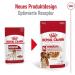 Royal Canin Medium Adult Wet Dog Food Pouches 20 x 140g - Buy Online on GoSupps.com