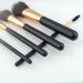 10-Piece Makeup Brush Set - Complete Beauty Tools for Powder & Eye Shadow | International Shipping Available - Buy Online on GoSupps.com