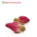 Buy Natural Herbal Pink Rose Bud Tea - 50g | Fragrant Flower Tea for Health & Beauty | International Shipping - Buy Online on GoSupps.com