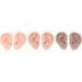 LUQEEG Soft Silicone Ear Model - 3 Pairs in 3 Colors | Ideal for Piercing Jewelry Exhibition & Teaching Demonstration - Buy Online on GoSupps.com