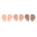 Simulated Ear Model Set - 3 Pairs Silicone Flexible Models in 3 Colors for Salon Use - Buy Online on GoSupps.com