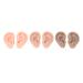 3 Pairs Silicone Ear Model Soft Flexible Ears 3 Colors Artificial Reusable for Practice Ear Model Simulation Display Props Teaching Tools Flexible Model for Rubber Ear for Teaching Instructions
