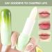 Hydrating Moisturizing Lipstick Lip Balms Stick Anti Cracked Lip Oil Natural Lipstick Base Moisturizer for Women Girls Avocado - Buy Online on GoSupps.com