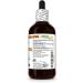 Alfalfa Alcohol-Free Liquid Extract Organic Alfalfa (Medicago Sativa) Dried Leaf Glycerite Hawaii Pharm Natural Herbal Supplement 4 oz - Buy Online on GoSupps.com