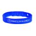 MZZJ Free Engraved Medical Health Alert Safety ID Jewelry Food Drug Allergy Bracelet 100% Silicone Rubber Outdoor Sport Warning Bracelet Band 7 Colors Size Adjustable PENICILLIN ALLERGY(Blue)