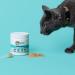Under the Weather Cat Supplement Powder | Vet-Formulated Probiotic for Feline Health - Buy Online on GoSupps.com