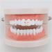 Punk Cross Mouth Teeth Tooth Single Grill Cap for Teeth Mouth Halloween Party Cosplay Accessories Teeth Grills Rose Gold - Buy Online on GoSupps.com