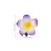 iFundom Hawaiian Flower Hair Clips - 24 Plumeria Foam Clips for Bridal Wedding & Beach Party (2.36inch, 24PCS) - Buy Online on GoSupps.com