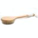 Dry Brush for Body Exfoliation | Natural Bristle Peeling & Massage Brush | Improve Skin & Circulation - Buy Online on GoSupps.com
