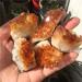 CIMWJOPS 1pc Rough raw Stone Natural Yellow Citrine Quartz Crystal Cluster for - Buy Online on GoSupps.com