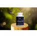 Moringa Antioxidant Capsules - 800 MG Moringa Oleifera for Energy Metabolism & Immune Support - International Shipping Available - Buy Online on GoSupps.com